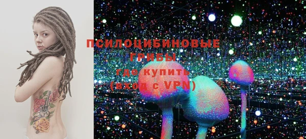 крисы Алексин