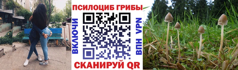 Галлюциногенные грибы Magic Shrooms hydra зеркало Вышний Волочёк